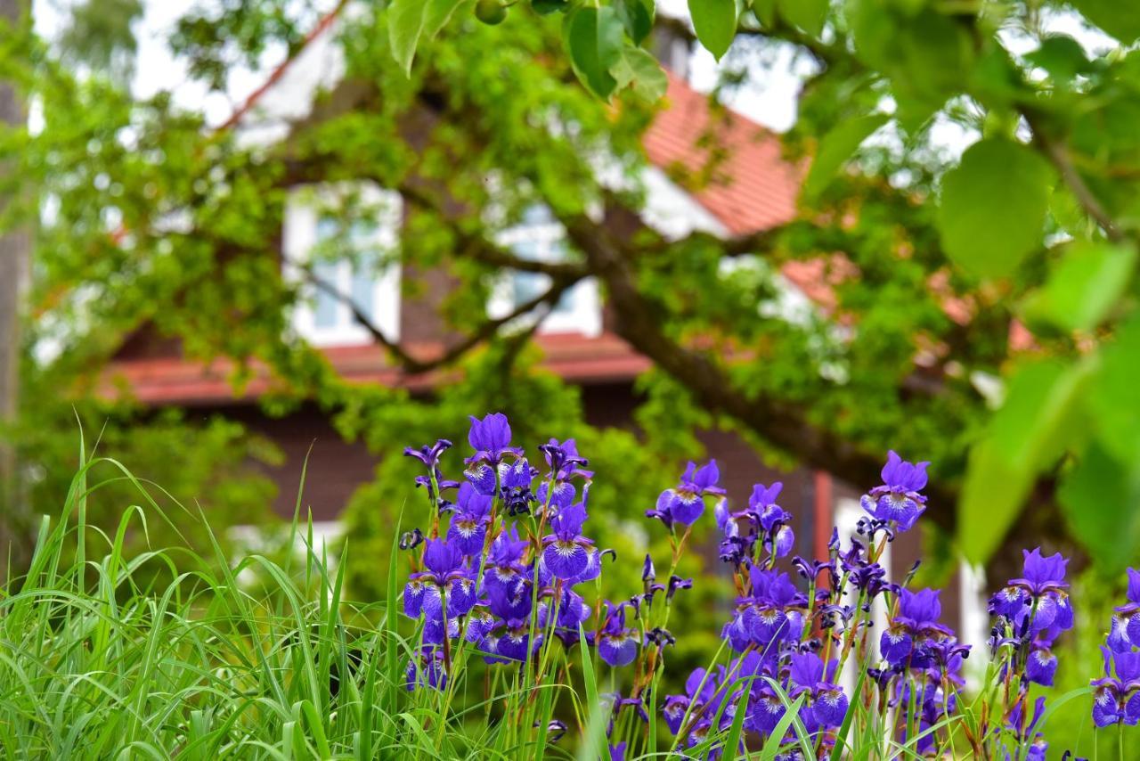 Sunny Beaver B&B Trakai Εξωτερικό φωτογραφία
